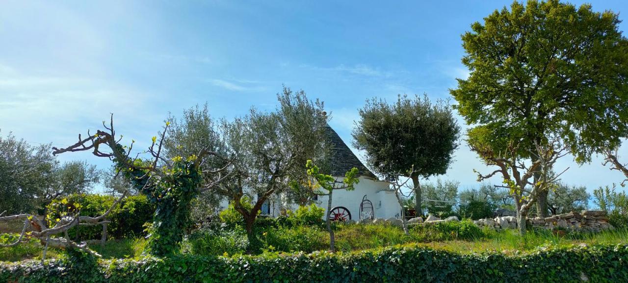 Antico Trullo Immerso Nella Campagna Alberobello Buitenkant foto