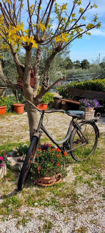 Antico Trullo Immerso Nella Campagna Alberobello Buitenkant foto